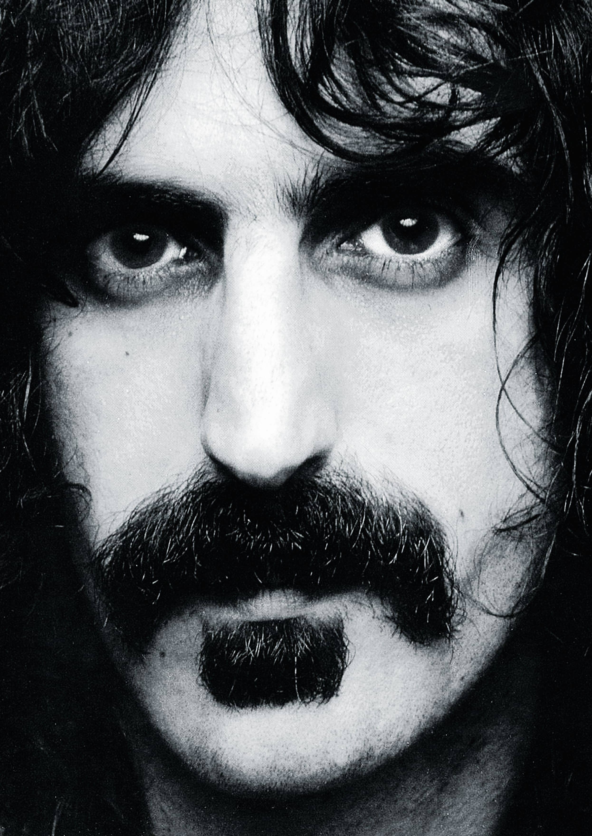 Frank Zappa game background